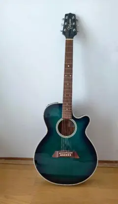 2026年最新】takamine t-f1の人気アイテム - メルカリ