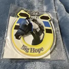 Item thumbnail for item 4c6aa261-a023-4807-b0bf-a03bb9a7fe62