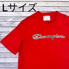 Champion Tシャツ L ビッグロゴ マルチカラー 古着 ストリート