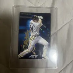2026年最新】Calbee_プロ野球チップス_2011の人気アイテム - メルカリ