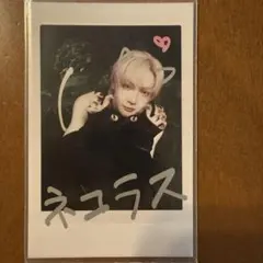 &TEAM Back to Life トレカ NICHOLAS ニコラス