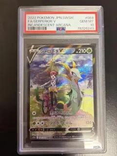 ジャローダv csr psa10 ポケカまとめ売り - メルカリ