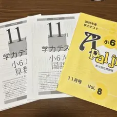 2025學年度 小六 學力測驗 題庫 第8卷