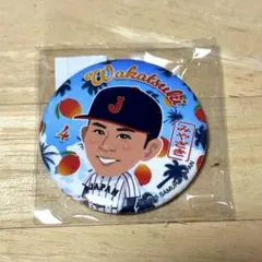 【匿名配送】侍ジャパン 缶バッジ 4 若月健矢