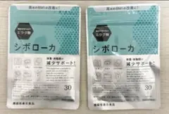 Item thumbnail for item 20ec289c-be4f-4e8a-9b08-ab02e3195d62