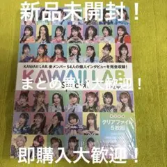 日経エンタテインメント KAWAII LAB. Special ⑪ 新品未開封品