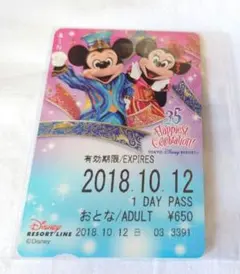 35周年含む【使用済】2018年度 ディズニーリゾートライン 切符 パス リゾラ 2018】ディズニーリゾートラインに35周年＆イースターデザイン登場