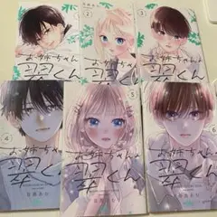 お姉ちゃんの翠くん 1〜6巻 まとめ売り
