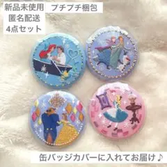 【新品】ディズニープリンセス刺繍ピンバッジ4個セット