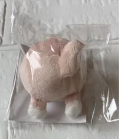 Stray Kids スキズ ポップアップ　スマホグリップ フォクシニー