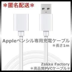 アップルペンシル Apple pencil 第1世代 充電 ケーブル 充電器