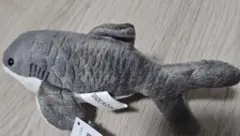 Item thumbnail for item 02cba74b-04d3-4dee-92fc-cf2a5d6e4d0f