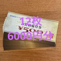 ヤマダ電機　株主優待券6000円分