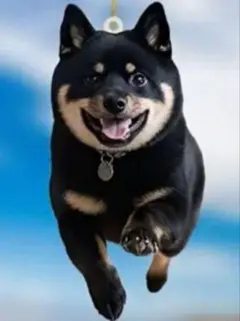 Item thumbnail for item 0a7cee78-f274-46c3-90c3-0756897981ec