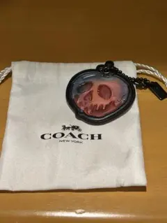 Disney x COACH Poison Apple キーホルダーのサムネイル