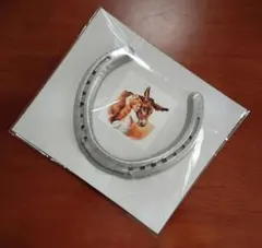 【本物の蹄鉄】馬蹄