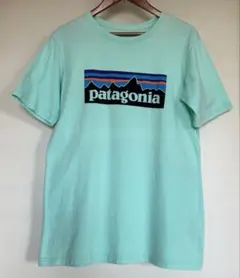 【Patagonia】Tシャツ ミントグリーン XL14(kids size)