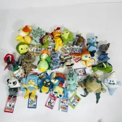 2025年最新】ぬいぐるみ my ポケモン コレクションの人気アイテム