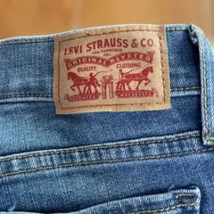 Item thumbnail for item 885895da-da2f-4c30-a65c-27900b59ff90