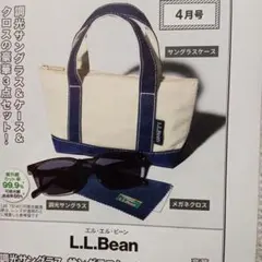 L.L.Bean 調光サングラス＆サングラスケース＆クロス 豪華３点セット