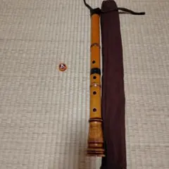 Item thumbnail for item 9dbf120b-3ea3-48ef-b5d8-6f2e4c365053