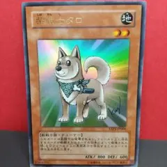 【AI情報の為要確認】紫獣士タロ YAP1-P009 遊戯王カード