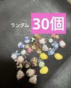 ネイパ　30個