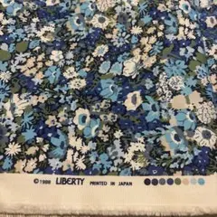 Item thumbnail for item 5eccc08f-f9c3-4dfb-a8da-841b2111cc46