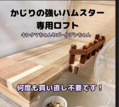 グラスハーモニー450ロフト　ハムスターロフト