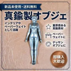 Brass Bronze Statue of a Beautiful Woman, Bound Nude, Tortoise Shell Bondage Object, Antique Sexy Art Piece