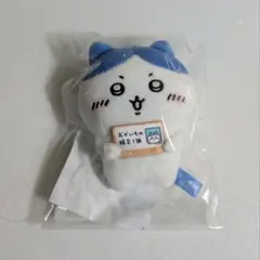 2025年最新】おかいもの検定の人気アイテム - メルカリ