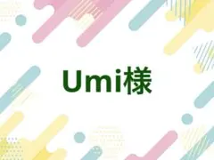 Umi様 落下防止シートR
