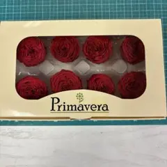 ナナガーデンローズのレッド