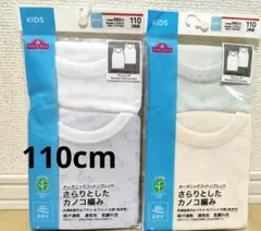 Item thumbnail for item 443536b6-1578-4304-a2ec-43e52439bb8c