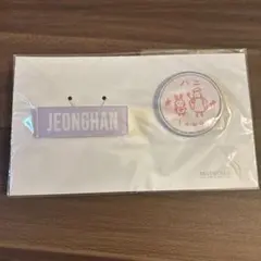 2025年最新】seventeen ワッペン バッジの人気アイテム - メルカリ