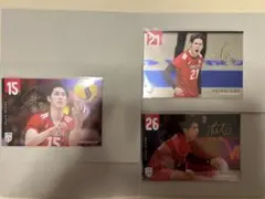 Item thumbnail for item 6517453e-0594-40bb-be86-07300dd316c9