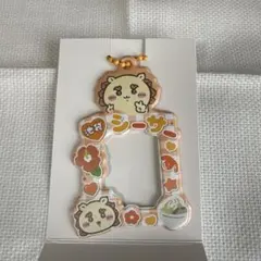 シーサー ミニフォトホルダー