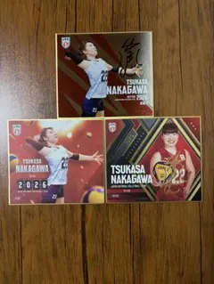 バレーボール女子日本代表 島村春世選手 トレーディングmini色紙