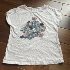 【UNIQLO UT PAUL & JOE コラボ Tシャツ 130】