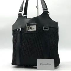 ✨極美品✨ディオール ハンドバッグ ストリートシック トロッター キャンバス