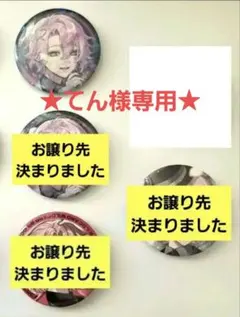 てん様専用★▷クロノヴァ ランダム缶バッジ 第7弾◀︎