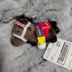 スティゴールド サラブレットコレクション