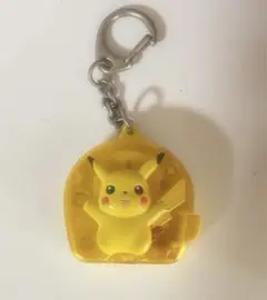 ポケモンライトキーホルダー