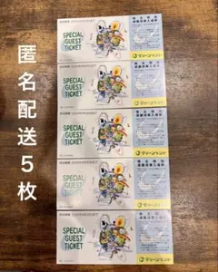 グリーンランド 株主優待 入場券 5枚 2026年9月期限 -b - メルカリ