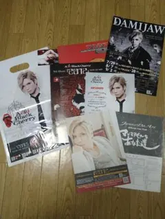 Acid Black Cherry 2012日本武道館フライヤーセット