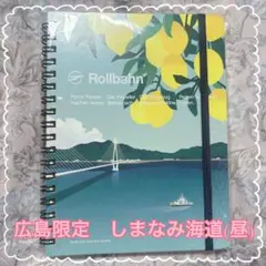 Item thumbnail for item 9cf990d0-d6eb-4631-a545-24ec5844f4d2