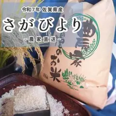 令和7年 佐賀県産 さがびより10キロ 玄米 減農薬 農家直送 - メルカリ