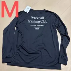 Item thumbnail for item 227b896a-244d-44d9-8a8c-88297811a9e3