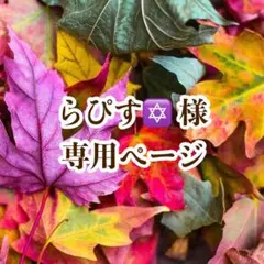 らぴす✡様 専用ページ