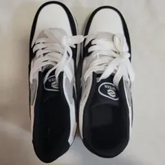 ローラーシューズ 2輪式 スポーツシューズ